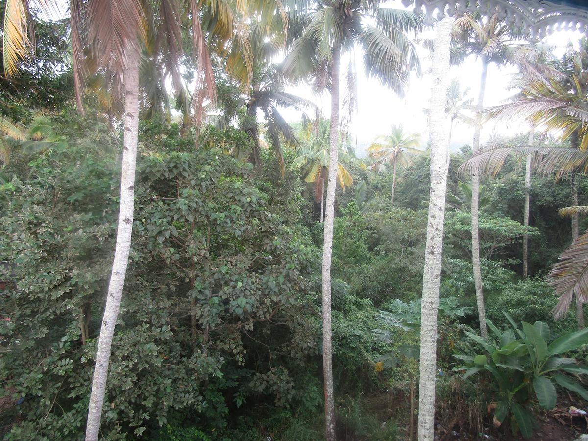 Blue Wave Resort Varkala Luaran gambar